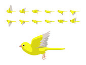 Animation Canary Yellow Flying Cute Cartoon Vector Illustration