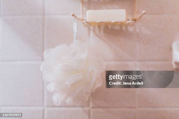loofah hanging in shower under bar of soap - loofah fotografías e imágenes de stock