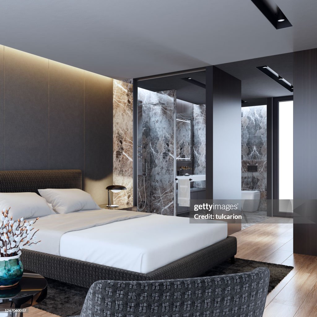 Luxury Apartment Interior Bedroom