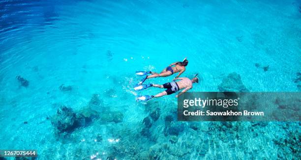 couple snorkeling in sea, maldives - snorkeling fotografías e imágenes de stock