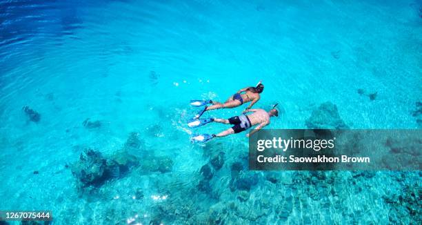 couple snorkeling in sea, maldives - snorkeling stock pictures, royalty-free photos & images