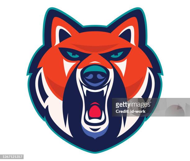 illustrations, cliparts, dessins animés et icônes de mascotte renard en colère - fox logo