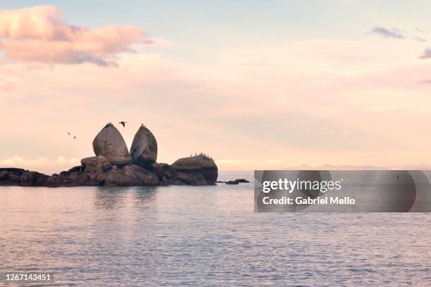 split apple rock in new zealand - nelson stock pictures, royalty-free photos & images