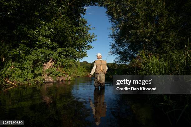 Fly Fishermen Jack Selwood takes on a section of the river Darent hoping to catch Brown Trout that they intend to return to the water on August 18,...