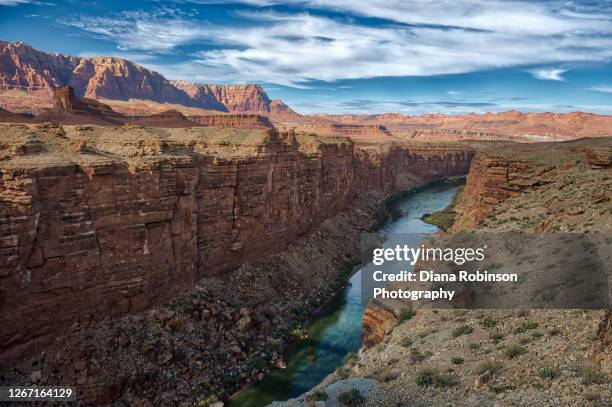 view of the colorado river at marble canyon, arizona, usa - valley side stock-fotos und bilder