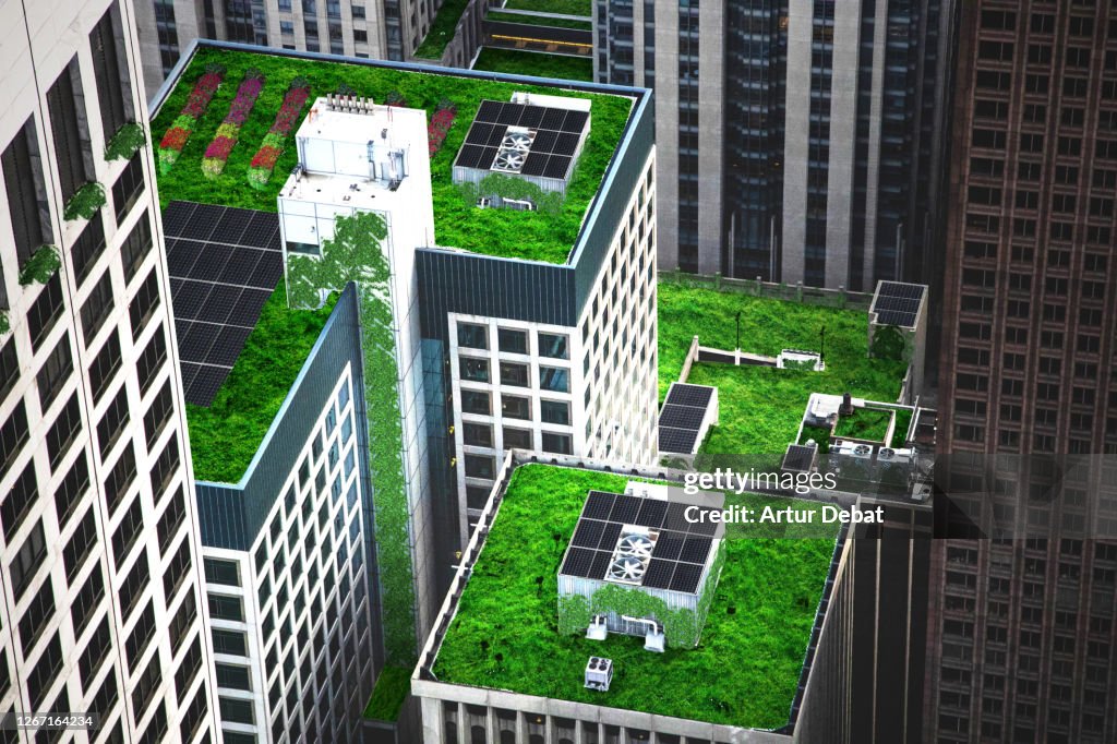 Green city