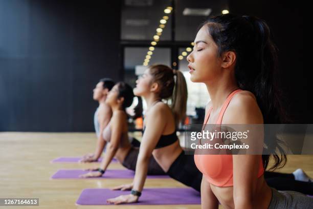 grupo de pessoas asiáticas fitness fazendo yoga para cima enfrentando pose de cachorro em tapetes no estúdio de yoga. jovens mulheres e homem se exercitando no ginecologista - yoga studio - fotografias e filmes do acervo