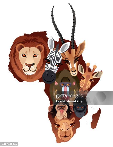 africa animals - baboon stock illustrations