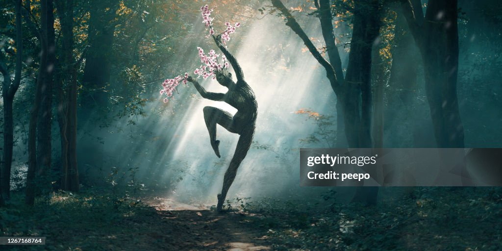 Nature's Blossom Tree Woodland Nymph Dancing In Sun Dappled Forest