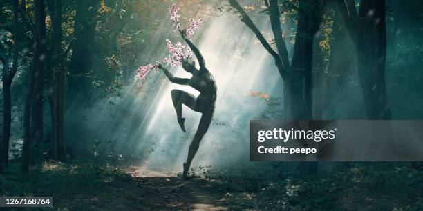 nature's blossom tree woodland nymph dancing in sun dappled forest - tree forest flowers stockfoto's en -beelden