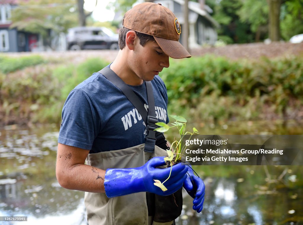 Volunteers Clean Up Pond and Plant Native Aquatic Plants