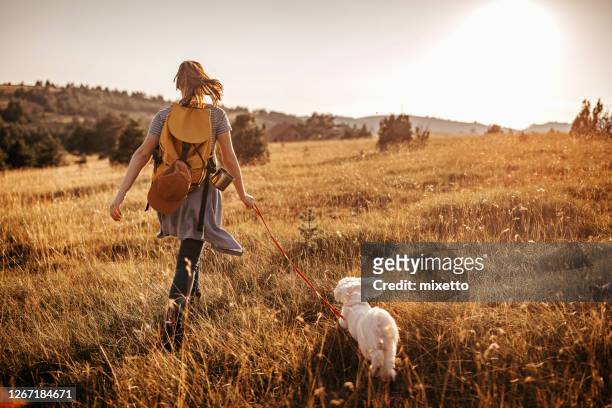 girl hiking with pet dog - little dog owner stock pictures, royalty-free photos & images
