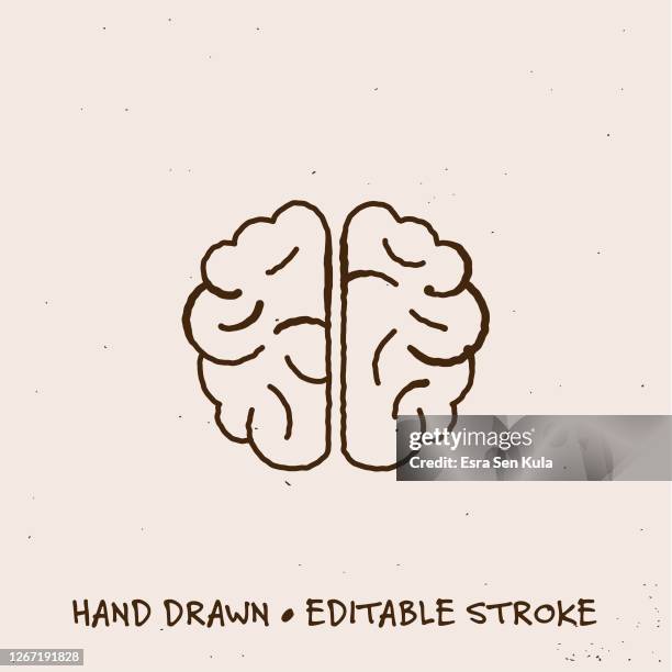 stockillustraties, clipart, cartoons en iconen met pictogram met de hand getekende hersenen met bewerkbare lijn - neurochirurgie