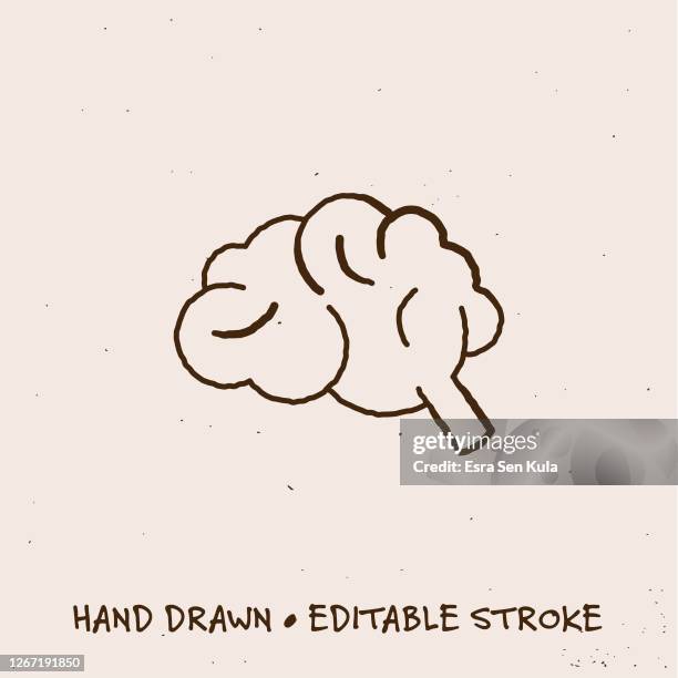 hand drawn brain icon with editable stroke - functional magnetic resonance imaging brain stock illustrations