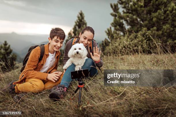 teenage hikers with pet dog vlogging using mobile phone - dog waving stock pictures, royalty-free photos & images