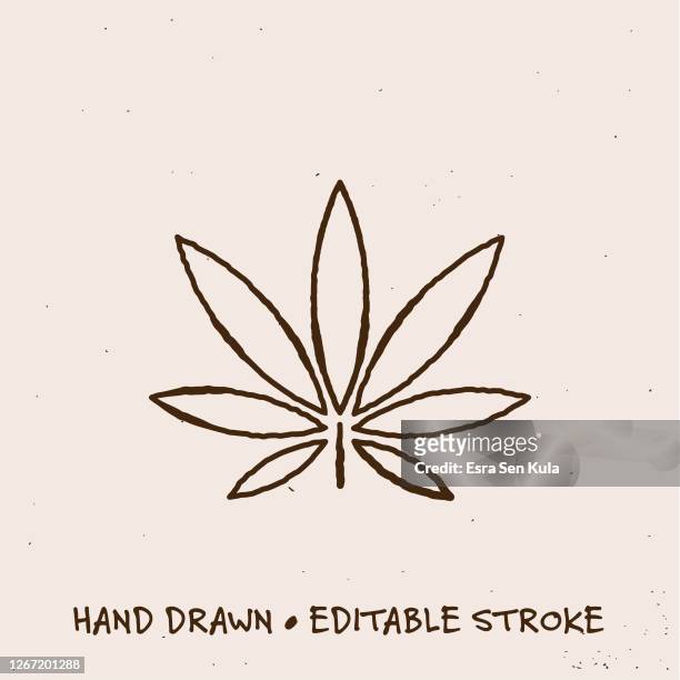 stockillustraties, clipart, cartoons en iconen met hand getrokken pictogram van het blad van de marihuana met bewerkbare slag - marijuana leaf