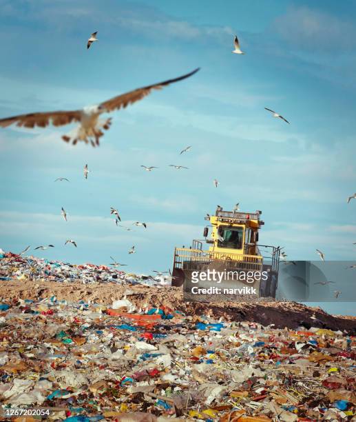 refuse compactor working at garbage dump - plastic pollution stock pictures, royalty-free photos & images