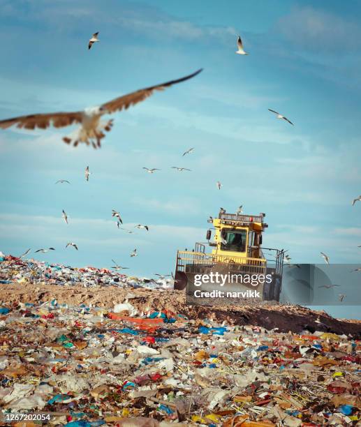 compactador de lixo trabalhando no depósito de lixo - landfill - fotografias e filmes do acervo