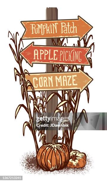 wooden sign post with arrows pointing to pumpkin patch, apple picking and corn maze - pumpkin patch stock illustrations