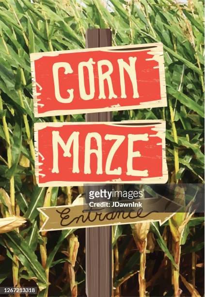 holzschild und zaun zum eingang von corn maze - corn maze stock-grafiken, -clipart, -cartoons und -symbole