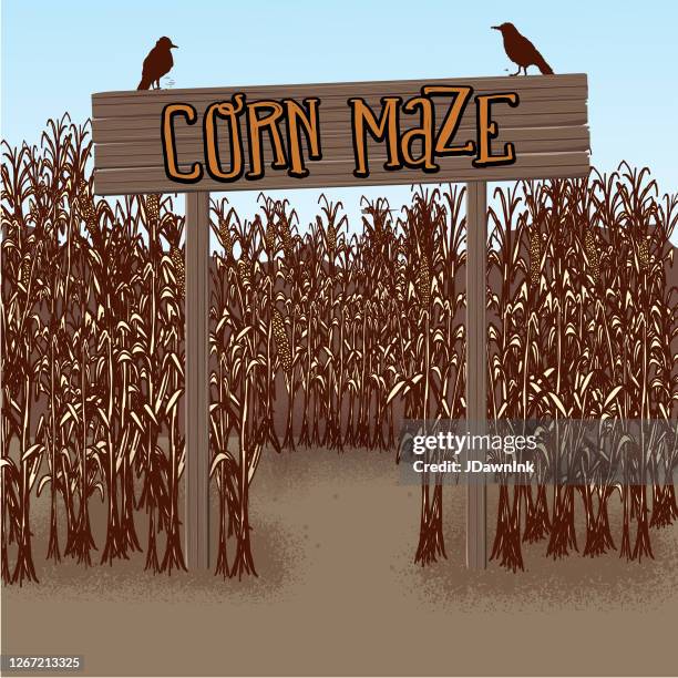 ilustrações de stock, clip art, desenhos animados e ícones de wooden sign post and fence to corn maze entrance - corn maze