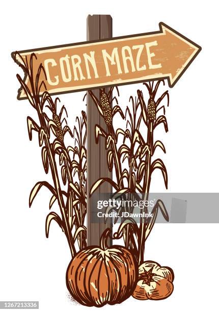 ilustrações de stock, clip art, desenhos animados e ícones de wooden sign post and fence to corn maze entrance - corn maze