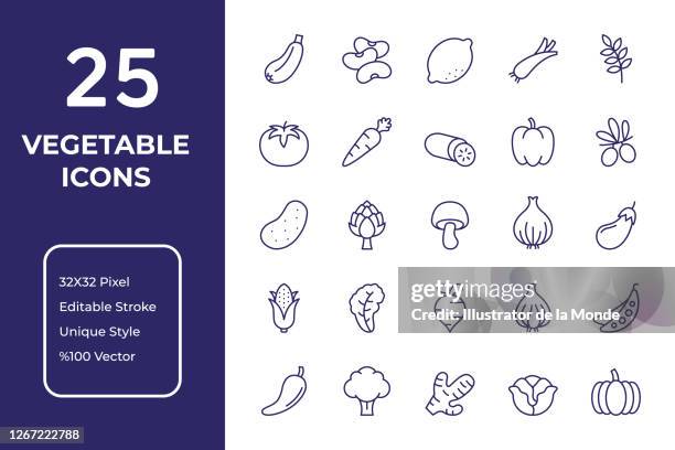 vegetables line icon design - crucifers stock illustrations