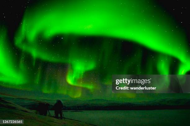 amazing northern lights en suède - parc national d'abisko photos et images de collection