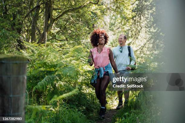 in our happy place - walking woods stock pictures, royalty-free photos & images