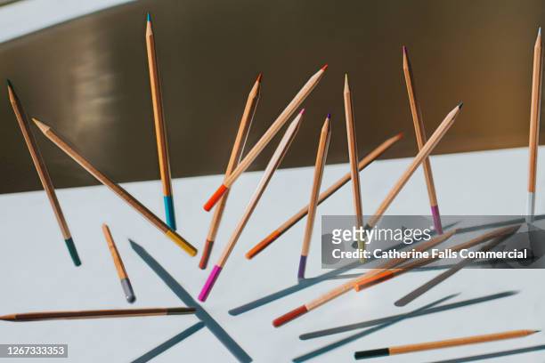 sharpened wooden colouring pencils falling onto a white surface casting shadows - etui stockfoto's en -beelden