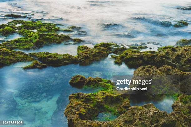 beautiful landscape with tropical sea - taiwan landscape stock pictures, royalty-free photos & images