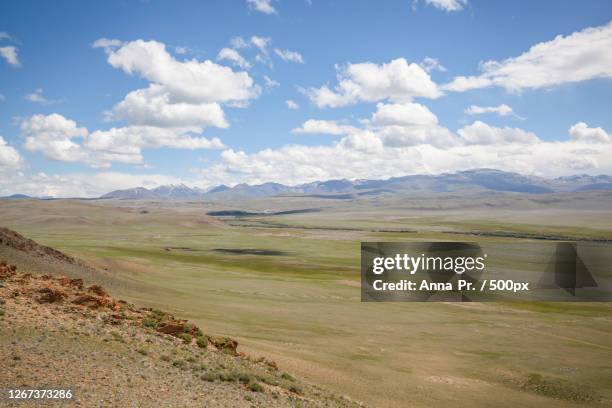 green steppe, onguday, russia - russian steppes stock pictures, royalty-free photos & images