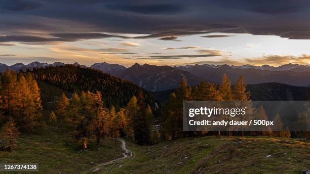 scenic view of autumn forest at sunset, schladming, austria - schladming stock pictures, royalty-free photos & images