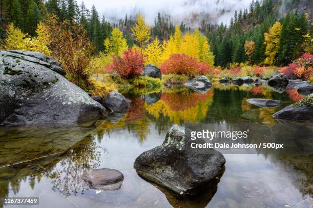 tumwater canyon with river, north cascades national park, leavenworth, washington, united states - tumwater stock pictures, royalty-free photos & images