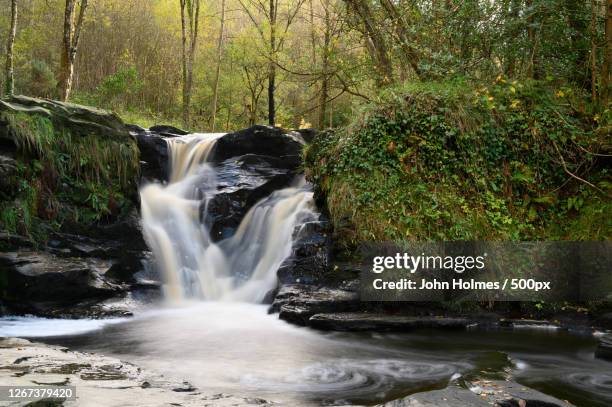 waterfall in forest, glenbarrow, ireland - county laois stock pictures, royalty-free photos & images