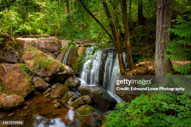 whatcom falls park, located in the heart of bellingham, washington. - bellingham stockfoto's en -beelden