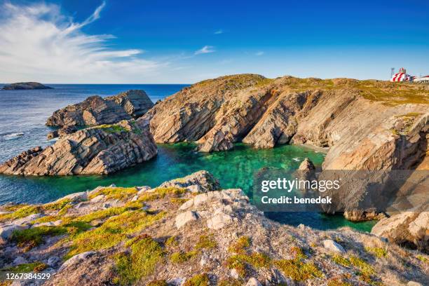 felsenbucht und leuchtturm am kap bonavista neufundland kanada - newfoundland stock-fotos und bilder