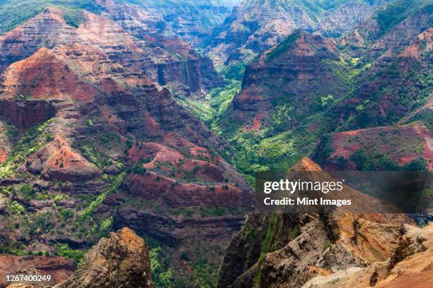 elevated view of deep canyons, green fertile valleys and steep peaks of an island landscape - waimea canyon state park stock pictures, royalty-free photos & images