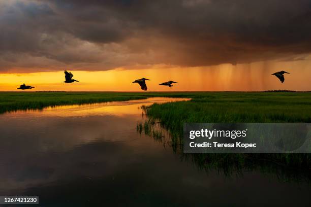 before the storm - tide rivers stock pictures, royalty-free photos & images