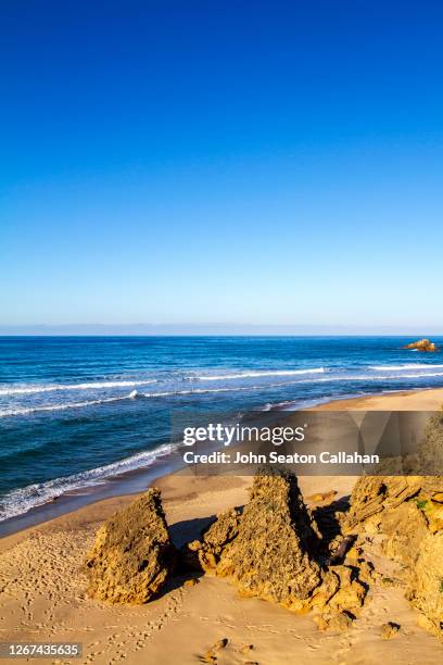 tunisia, surfer walking on a beach of the mediterranean sea - tunisia surfing one person stock pictures, royalty-free photos & images