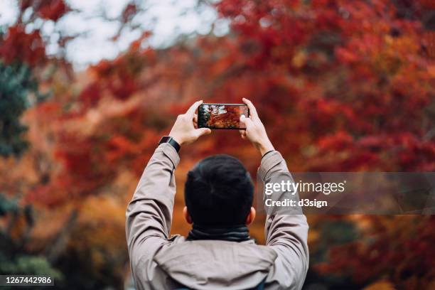 young asian male traveller enjoying the beautiful autumn scenics and taking pictures of the multi-coloured japanese maple leaves with smartphone in the countryside - view at the camera stock pictures, royalty-free photos & images