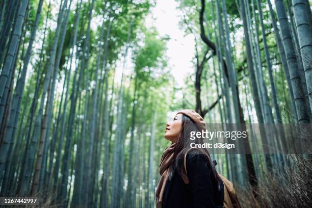 young asian female backpacker enjoying in nature. taking a deep breath of fresh air while having a relaxing walk in the bamboo forest in the countryside during the outbreak of coronavirus pandemic - daily life in kyoto stock-fotos und bilder