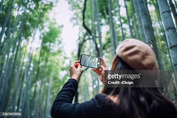 young asian female traveller enjoying in nature. she is taking photo with smartphone while walking along the pathway in the bamboo grove in arashiyama, kyoto, exploring and enjoying the spectacular nature scenics - grove_(nature) stock-fotos und bilder