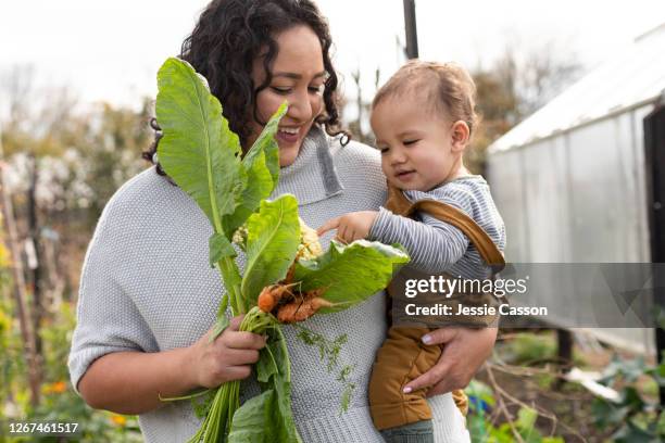 candid portrait mother a baby in vegetable garden with home grown produce - homegrown produce foto e immagini stock