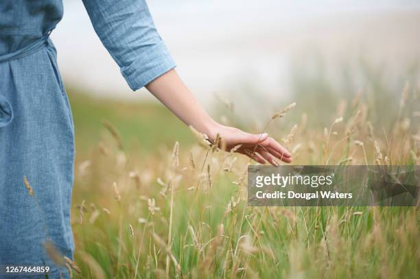 woman brushing hand over long summer grasses in countryside, close up. - long grass stockfoto's en -beelden