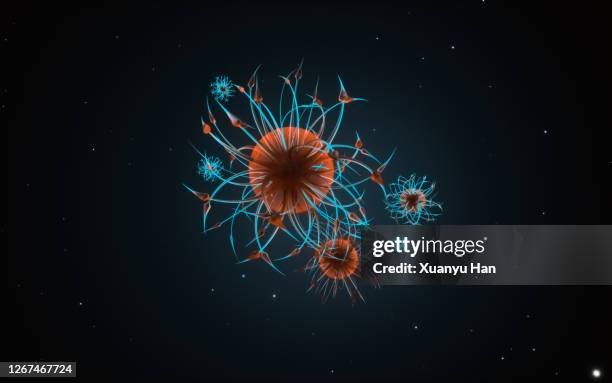 coronavirus. covid-19. 3d render - adenovirus stock-fotos und bilder