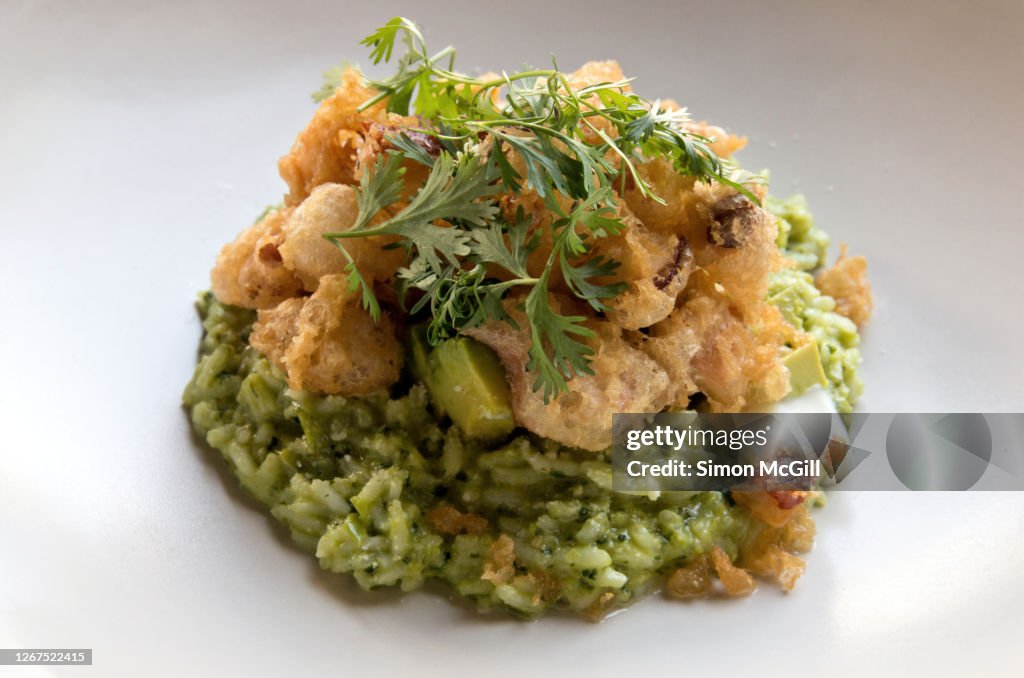 Poblano style creamy green rice, fried tempura octopus, avocado, Chiapas cheese and jocoque (Mexican dairy product based on fermented milk)