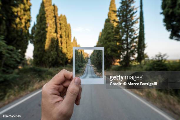 personal perspective of polaroid picture overlapping a long road among cypress trees, italy - human hand photos stock pictures, royalty-free photos & images