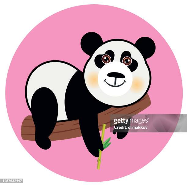 Panda Logo Fotografías e imágenes de stock - Getty Images