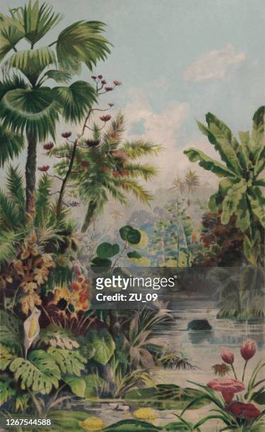 ilustraciones, imágenes clip art, dibujos animados e iconos de stock de paisaje de la selva, cromolitógrafo, publicado en 1895 - litografi